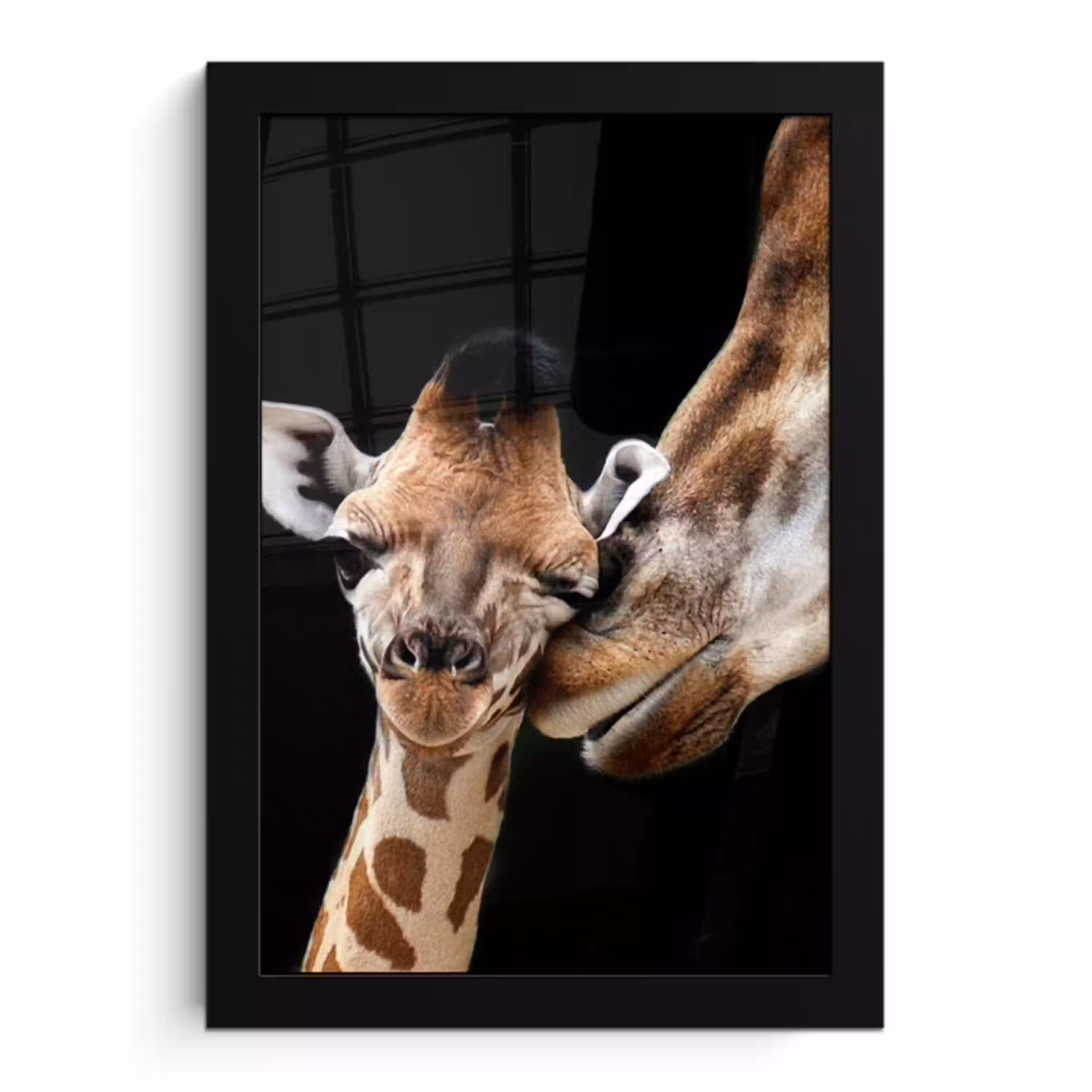 Giraffe - Dieren - Zwart - Portret - Dieren fotolijst zwart zonder passe partout klein -3d