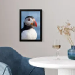 Papegaaiduiker - Portret - Natuur fotolijst zwart zonder passe partout klein -sfeer4