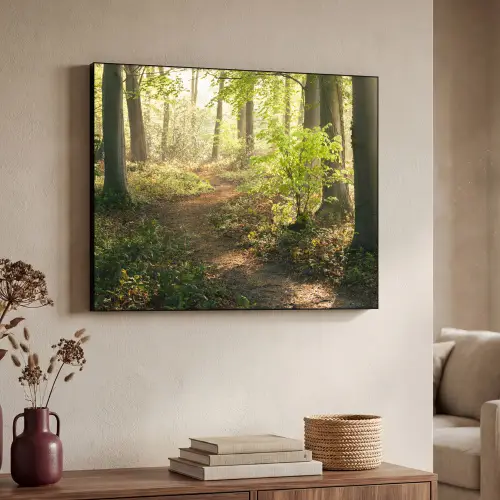Bos - Bomen - Pad - Zon - Planten - Bladeren - Natuur Textielframe zwart klein -sfeer3