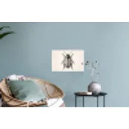Kever - Insect - Vintage Muursticker klein -plant