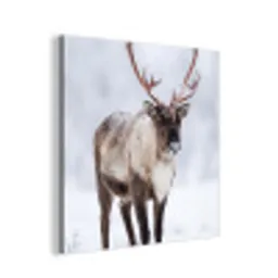 Rendier - Gewei - Toendra - Sneeuw - Wild aluminium wit klein -3d