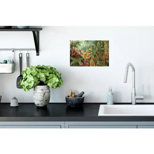 Design - Natuur - Paddenstoelen - Ernst Haeckel Muursticker klein -keuken