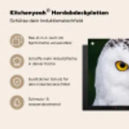 Sneeuwuil - Portret - Geel Inductie beschemer met haakjes klein -ky-usp-de