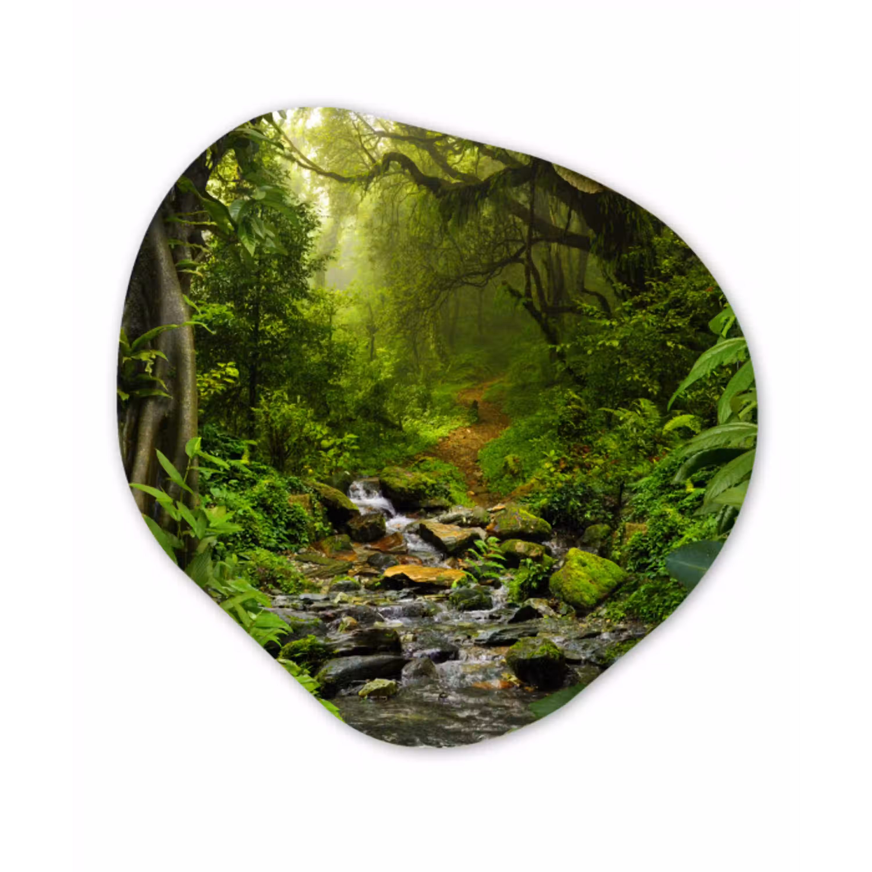 Natuur - Water - Jungle - Bos - Tropisch Wandcirkel Organisch Forex 3mm klein -3d