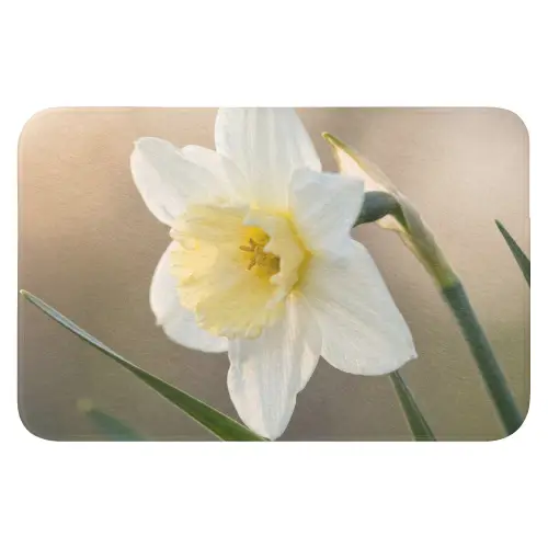 Narcis - Bloem - Minimalistisch Badmat klein -3d