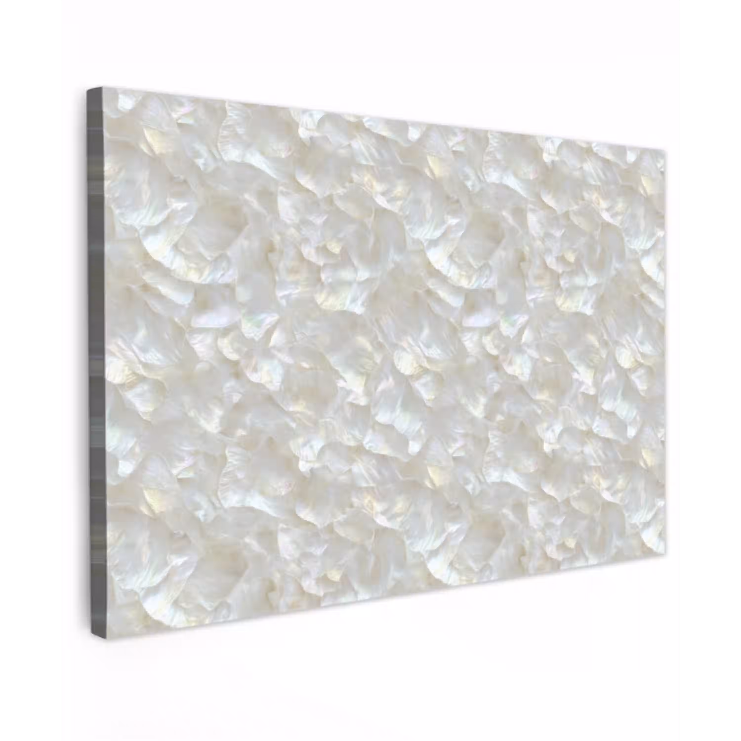 Parelmoerglans - Wit - Schelp Tuinposter op houten frame 2 cm dik klein 845 -3d