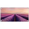 Lavendelveld - Zonsondergang - Paars - Bloemen tuinposter los doek klein -3d