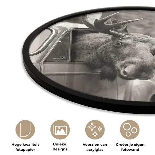 Eland - Auto - Gewei - Zwart - Wit Fotolijst rond zonder passe partout klein -closeup_NL