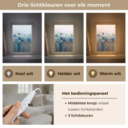 Bloemen - Schilderij - Blauw Light Box met kabel (Tafellamp) klein -USP_lichtkleurNL