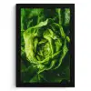 Groente - Sla - Groen KitchenYeah - Keuken - Fotolijst klein -3d