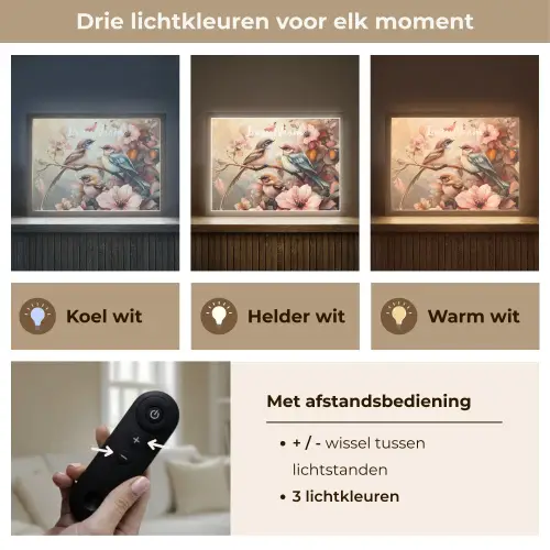 Vogels - Bloemen - Roze - Pastel Light Box met batterij (Wandlamp kind) middel -USP_lichtkleurNL