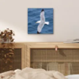 Zeemeeuw - Oceaan - Blauw aluminium wit klein -sfeer3