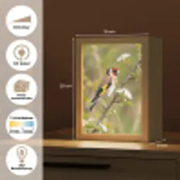 Putter - Bloesem - Lente - Natuur - Kleurrijk Light Box met kabel (Kinderlampje) klein -USP_websiteoverzichtDE