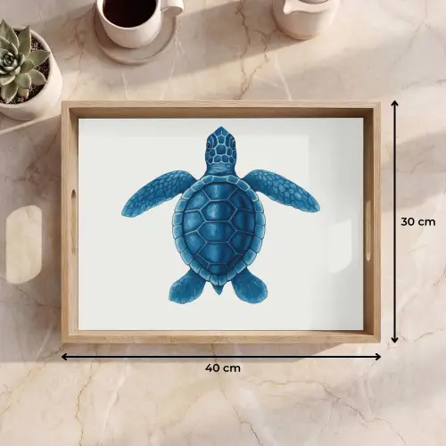 Schildpad - Blauw - Schild Dienblad Rechthoek middel -USP_Formaat