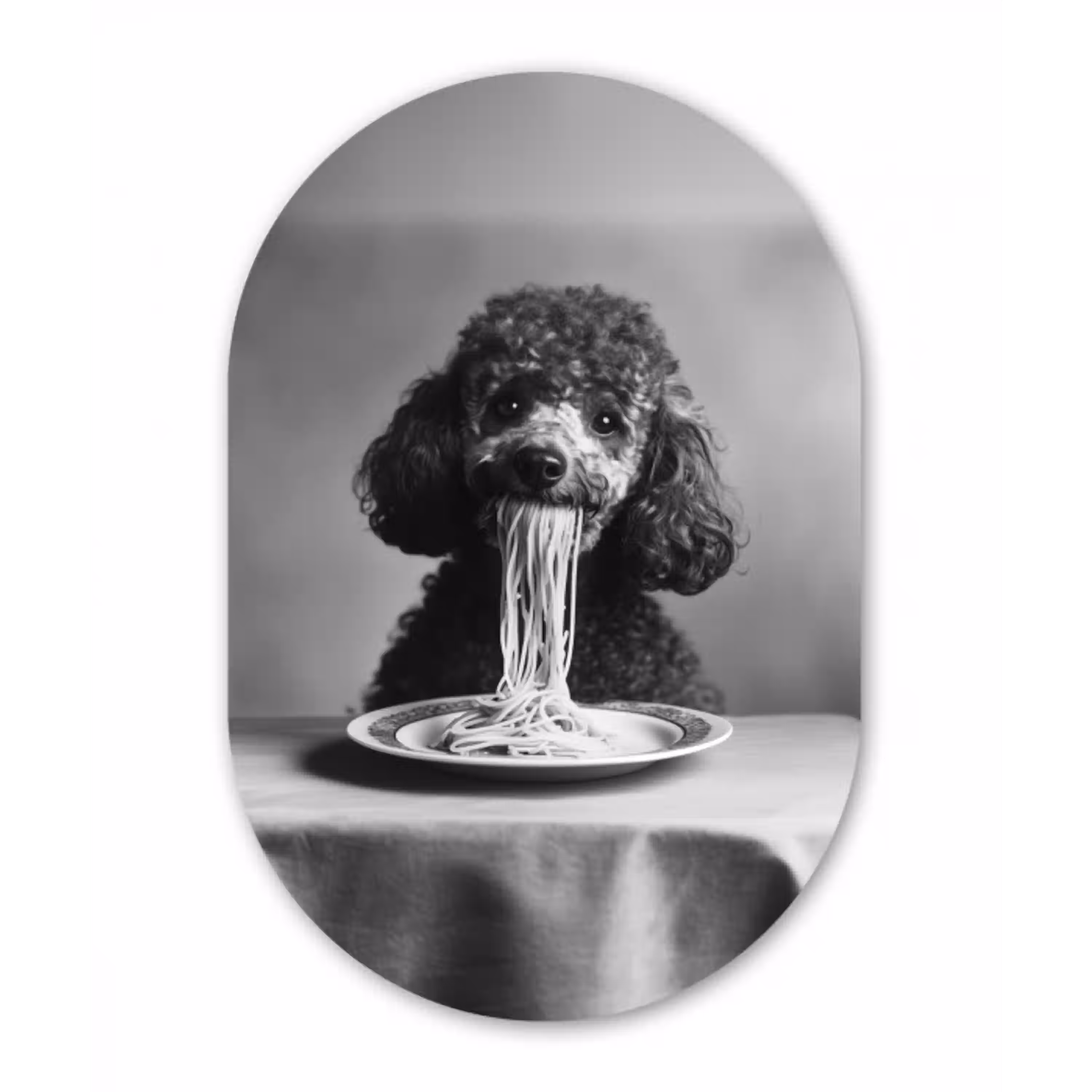 Poedel - Hond - Zwart - Wit - Schattig - Pasta Wandcirkel Ovaal Glas middel -3d