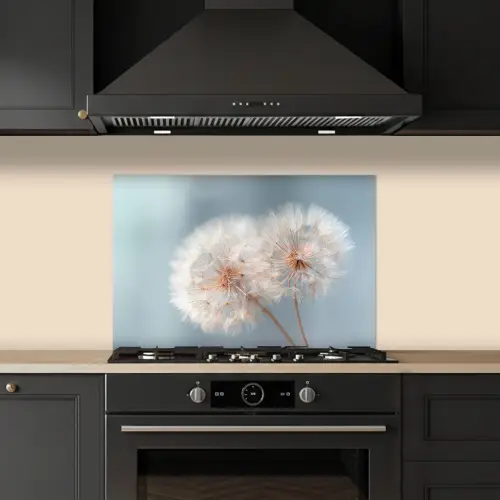 Paardenbloemen - Pluisjes - Wit keuken achterwand spatscherm klein -sfeer1