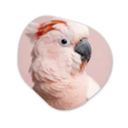 Kaketoe - Portret - Roze Wandcirkel Organisch Aluminium middel -3d