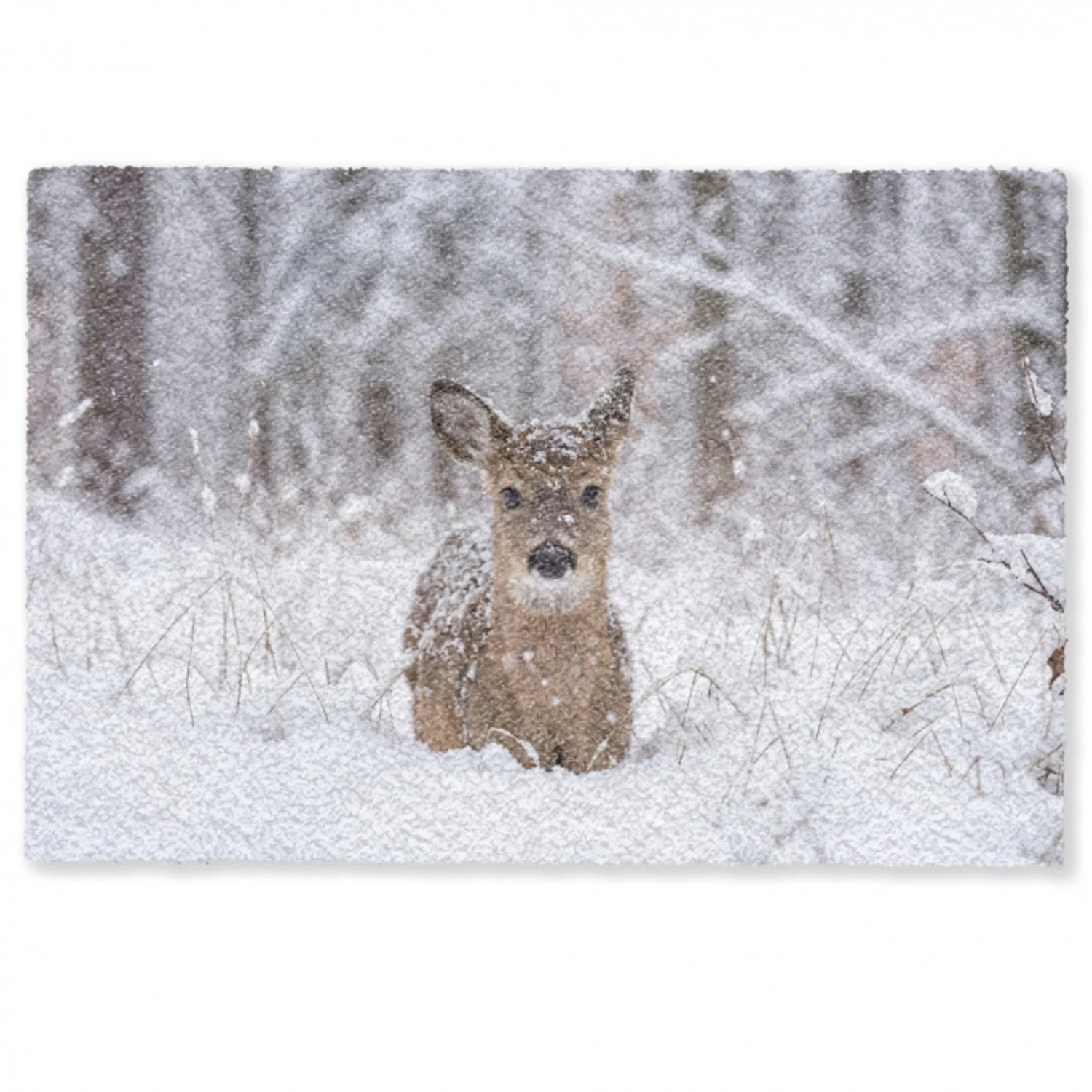 Hert - Sneeuw - Bos - Dieren - Vertederend Deurmat klein -zkaufland3d
