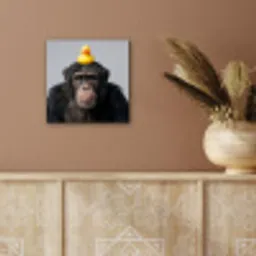 Chimpansee - Badeend - Grijs aluminium wit klein -sfeer4