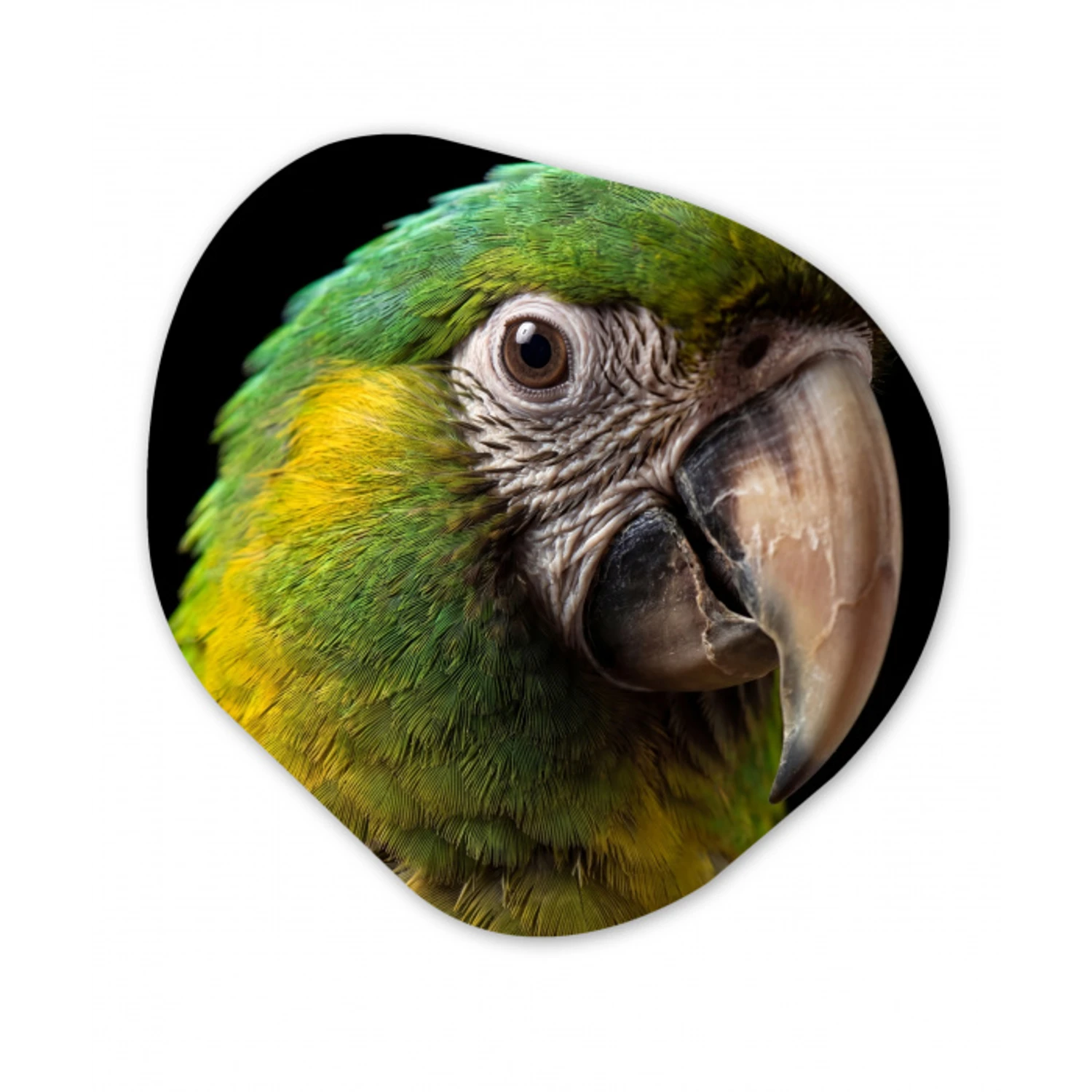 Ara - Portret - Groen Wandcirkel Organisch Aluminium middel -3d