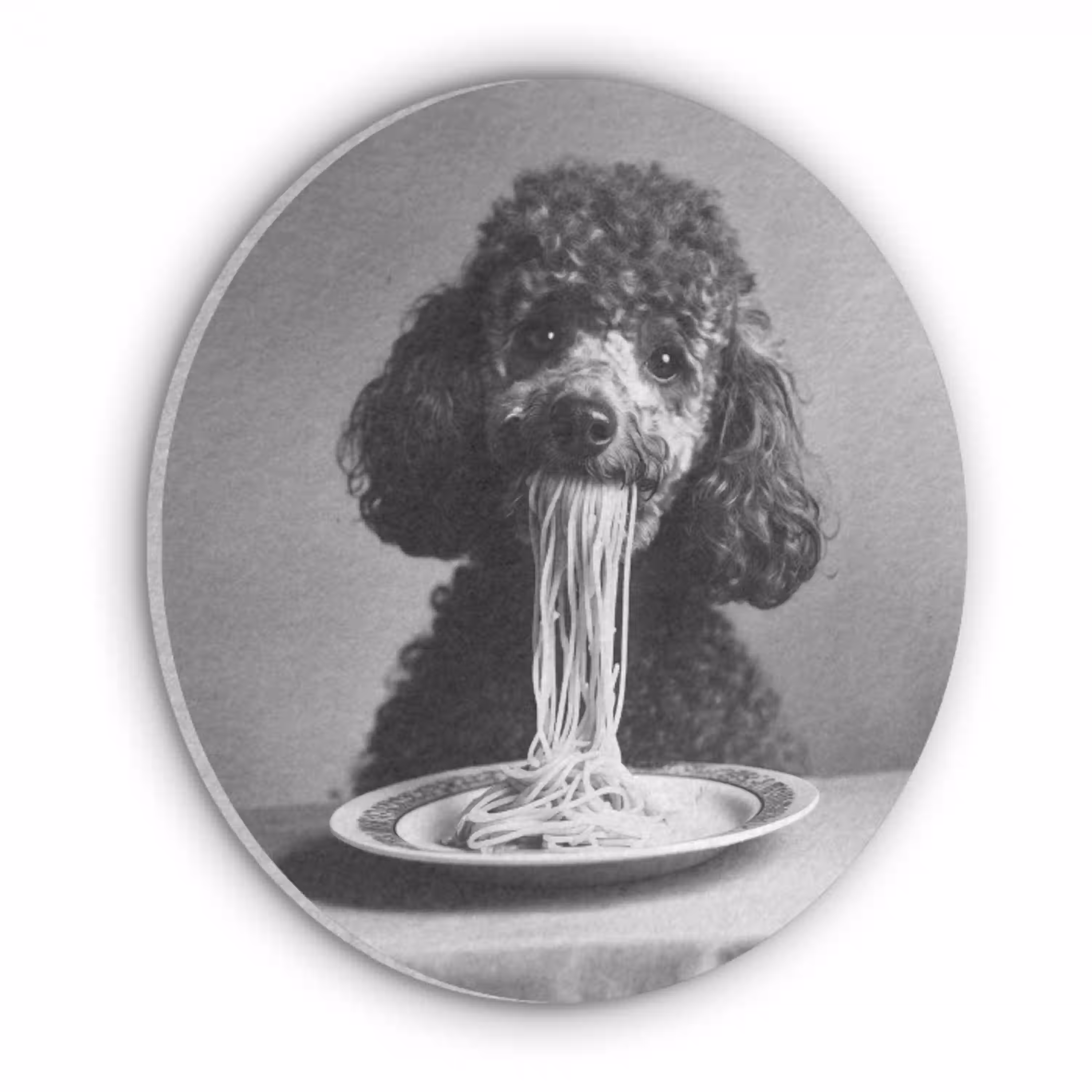 Poedel - Hond - Zwart - Wit - Schattig - Pasta Akoestische PET Vilt - Rond klein -3d