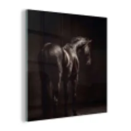 Krachtig - Paard - Donker plexiglas 5mm klein -z3d