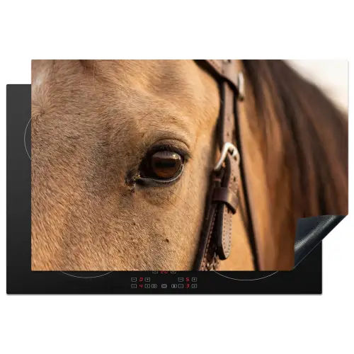 Paard - Oog - Bruin Inductie beschermer vinyl 3mm klein -3d
