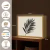 Palmblad - Subtiel - Groen - beige Light Box met batterij (Wandlamp) middel -USP_websiteoverzichtNL