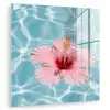 Hibiscus - Water - Roze plexiglas 5mm klein -zzzproduct_nieuw