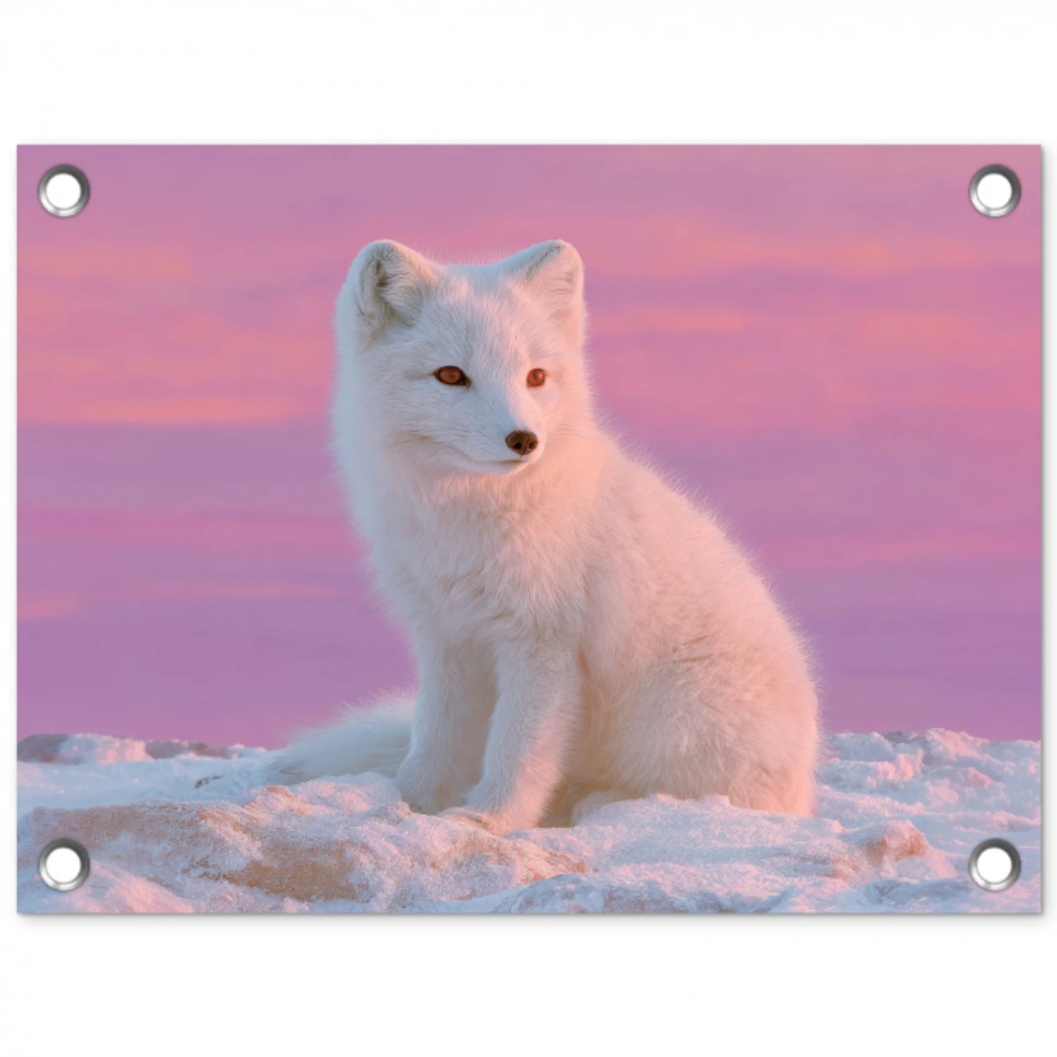 Poolvos - Sneeuw - Roze tuinposter los doek klein -3d