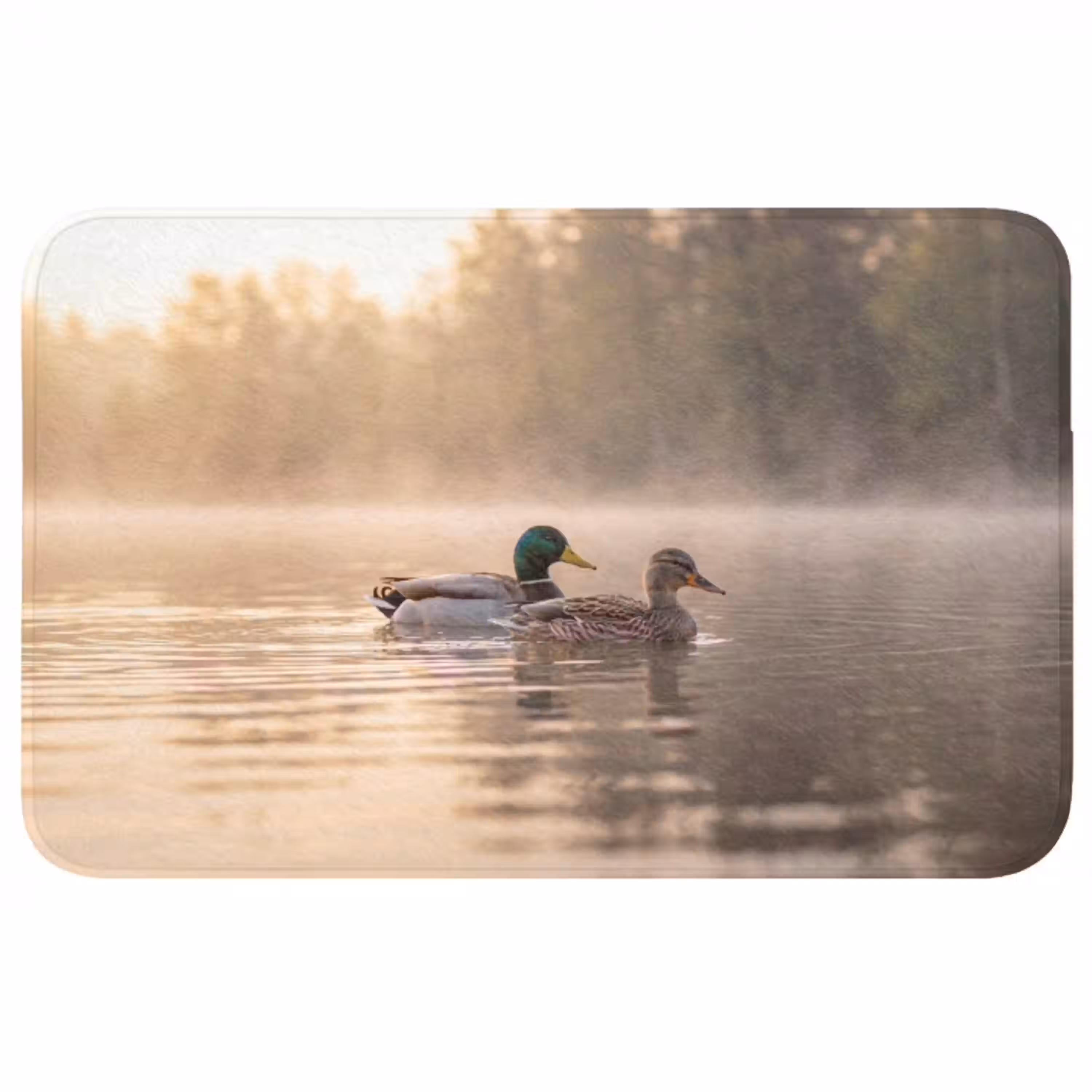 Eenden - Water - Mist - Natuur Badmat middel -3d
