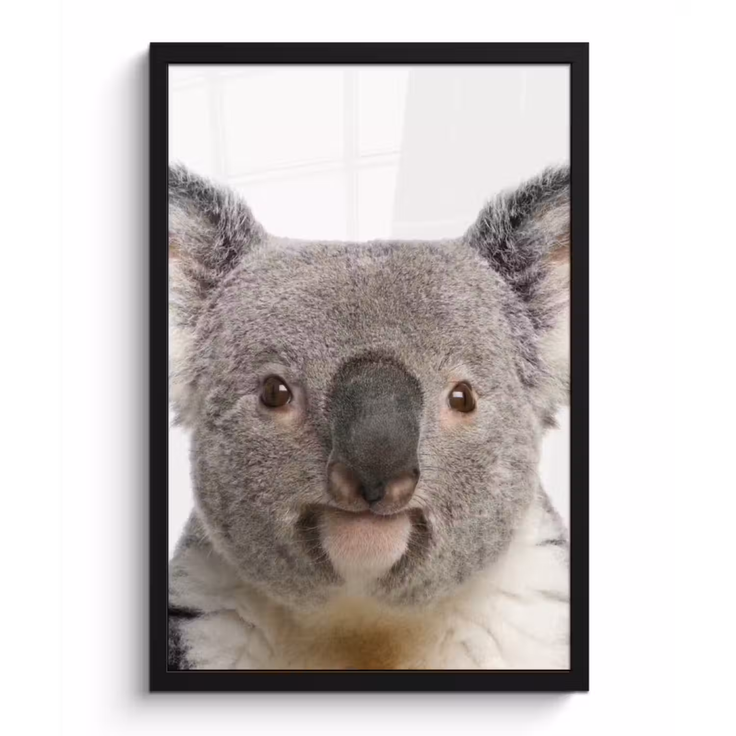 Poster met lijst - Koala - Koala beer - Meisjes - Jongens - Kinderen - Dieren