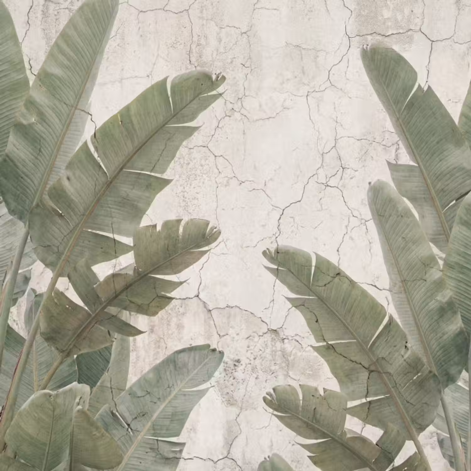 Behang - Bananenbladeren - Beton - Groen
