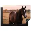 Paard - Zonsondergang - Bruin Inductie beschermer vinyl 3mm klein -3d
