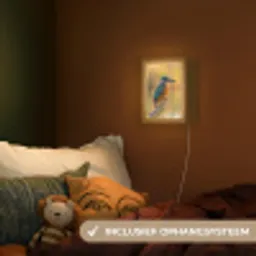 IJsvogel - Tak - Water - Kleurrijk - Levendig Light Box met kabel (Kinderlampje) klein -sfeer5_kind