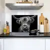 Schotse hooglander - Zwart - Wit Inductie beschemer met haakjes klein -sfeer2