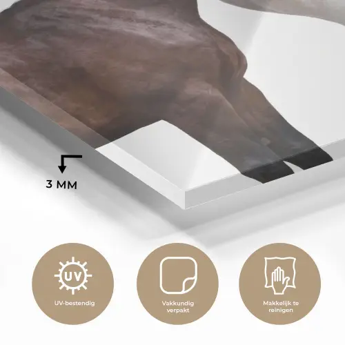 Paard - Modern - Balans plexiglas 5mm klein -sfeer2