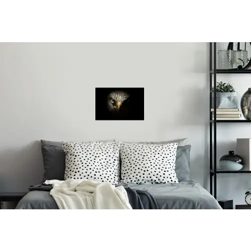 Vogel - Adelaar - Roofvogels - Oog - Snavel - Licht Muursticker klein -slaapkamer