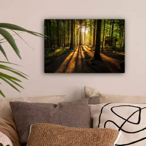 Zon - Bomen - Bos - Landschap - Natuur canvas 2cm klein -sfeer1