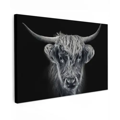 Schotse hooglander - Zwart - Koe - Dieren canvas 2cm klein -z3d