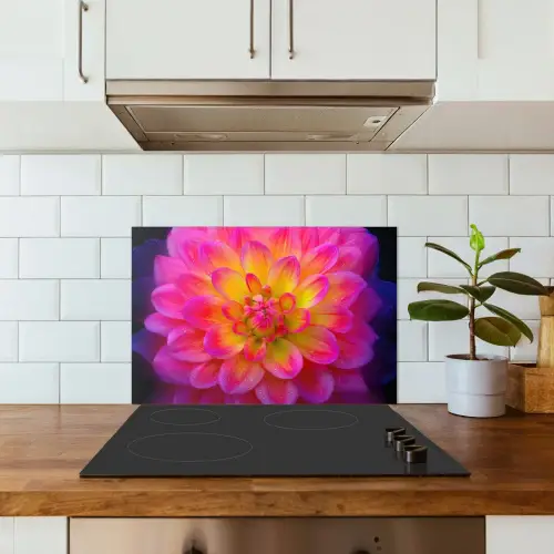 Roze - Dahlia - Kleurrijk keuken achterwand spatscherm klein -sfeer2