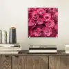 Rozen - Pink - Bloem plexiglas 5mm klein -sfeer1