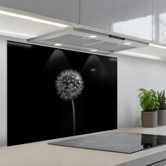 Fond de hotte - Pissenlit de la nuit étoilée