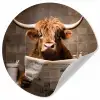 Schotse hooglander - Krant - Toilet Wandcirkel behangsticker klein -3d