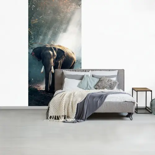 Olifant - Dieren - Licht - Bos - Natuur - Wilde dieren fotobehang vinyl groot -slaapkamer