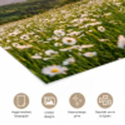 Madelief - Veld - Heuvels - Groen poster papier klein -closeup_NL
