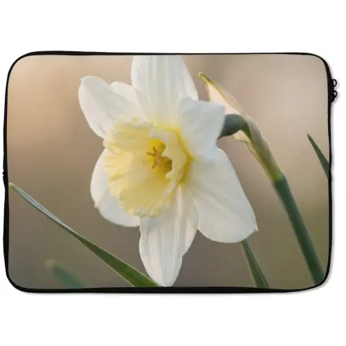 Narcis - Bloem - Minimalistisch laptophoes neopreen klein -zkaufland3dotto
