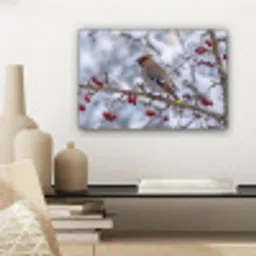 Pestvogel - Bessen - Winter - Natuur canvas 2cm klein -sfeer6