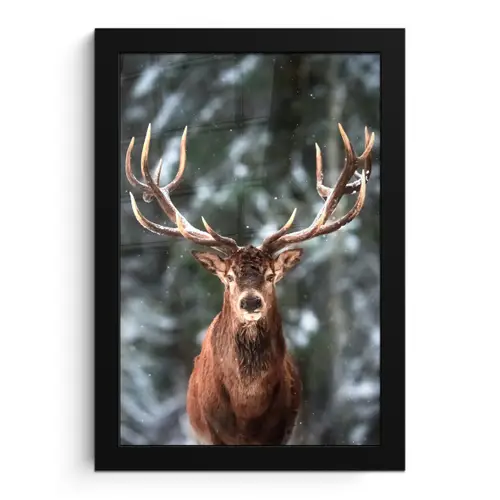 Hert - Winter - Sneeuw - Bos - Natuur - Dier fotolijst zwart zonder passe partout klein -3d