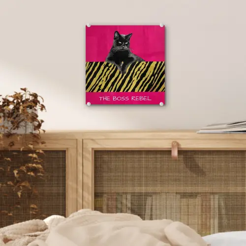 Kat - Baas - Roze - Tijgerprint plexiglas 5mm klein -sfeer4